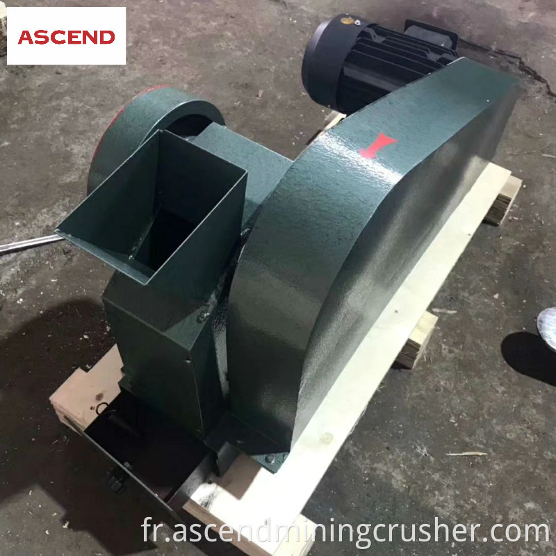 Mini Jaw Crusher 4